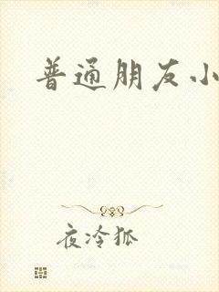 普通朋友小说