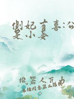 侧妃有喜:公主是小妾