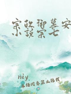 宗政御慕安安的小说宗七