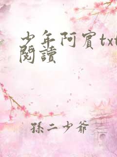 少年阿宾txt阅读
