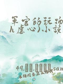 军官的玩物(高h虐心)小说