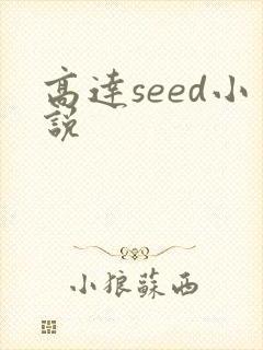 高达seed小说