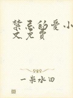 禁忌的爱小说全文免费