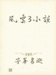 风云3小说