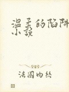 温柔的陷阱周芸小说