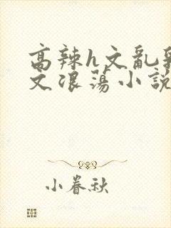 高辣h文乱乳h文浪荡小说