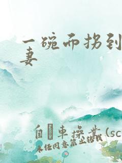 一碗面拐到美艳妻