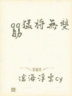 qq猛将无双辅助