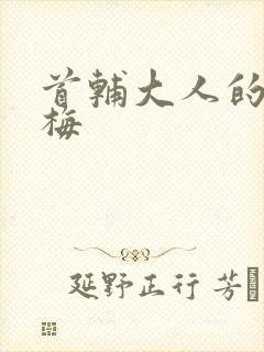 首辅大人的小青梅