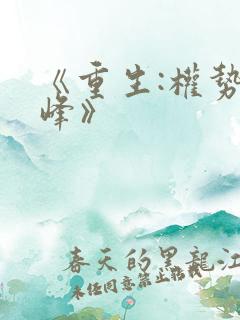 《重生:权势巅峰》