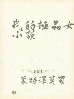 我的极品女老师小说