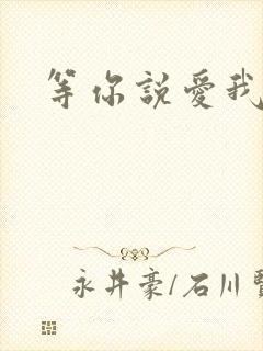 等你说爱我小说