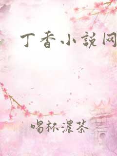 丁香小说网