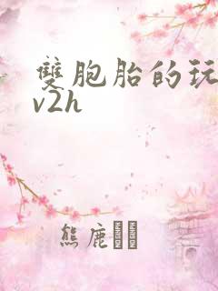 双胞胎的玩具1v2h