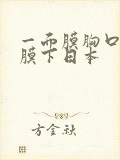 一面膜胸口一面膜下日本