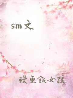sm文
