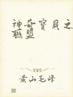 神奇宝贝之城都联盟