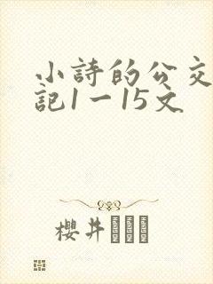 小诗的公交车日记1一15文
