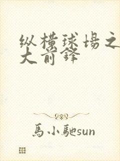 纵横球场之暴力大前锋