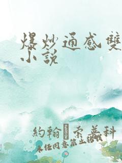 爆炒通感双胞胎小说