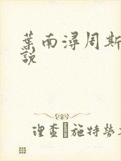 叶南浔周斯年小说