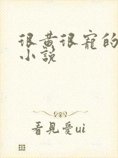 很黄很宠的总裁小说