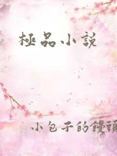 极品小说