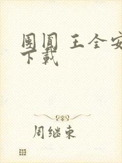 团圆 王全安 下载