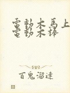 电动木马上两个电动木棒