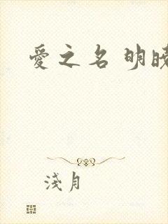 爱之名 明晓溪