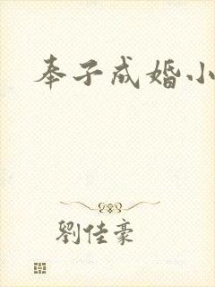 奉子成婚小说
