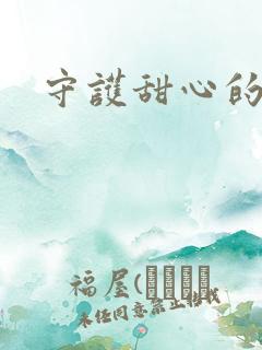 守护甜心的小说