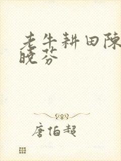 老牛耕田陈雪杨晓芬