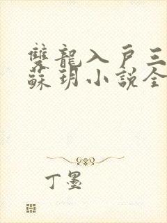 双龙入户三人行苏玥小说全文阅读