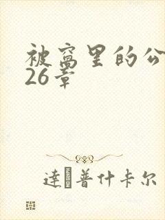 被窝里的公憩第26章
