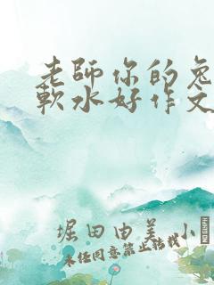 老师你的兔子好软水好作文免费阅读