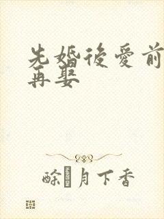 先婚后爱前妻难再娶