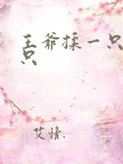 王爷揉一只舔一只
