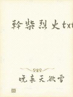 干柴烈火txt