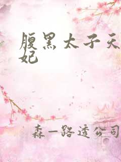 腹黑太子天降萌妃