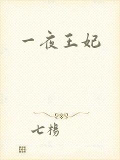 一夜王妃