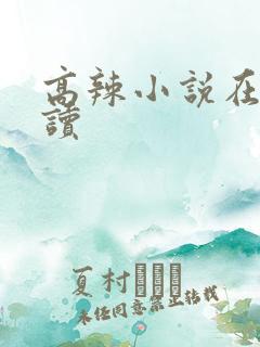 高辣小说在线阅读