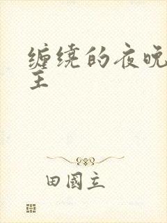 缠绕的夜晚双男主