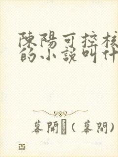 陈阳可控核聚变的小说叫什么名字