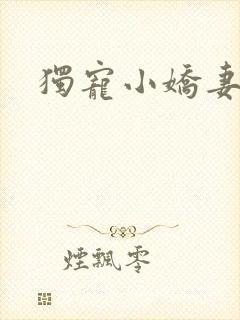 独宠小娇妻