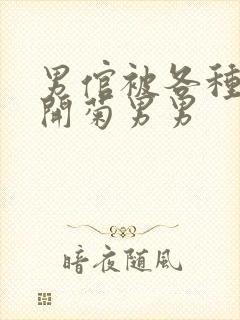 男倌被各种玉势开菊男男