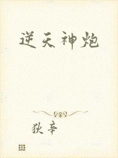 逆天神炮