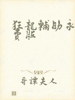 狂龙辅助永久免费版