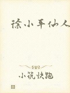 徐小平仙人指路