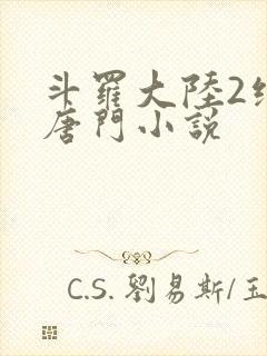 斗罗大陆2绝世唐门小说